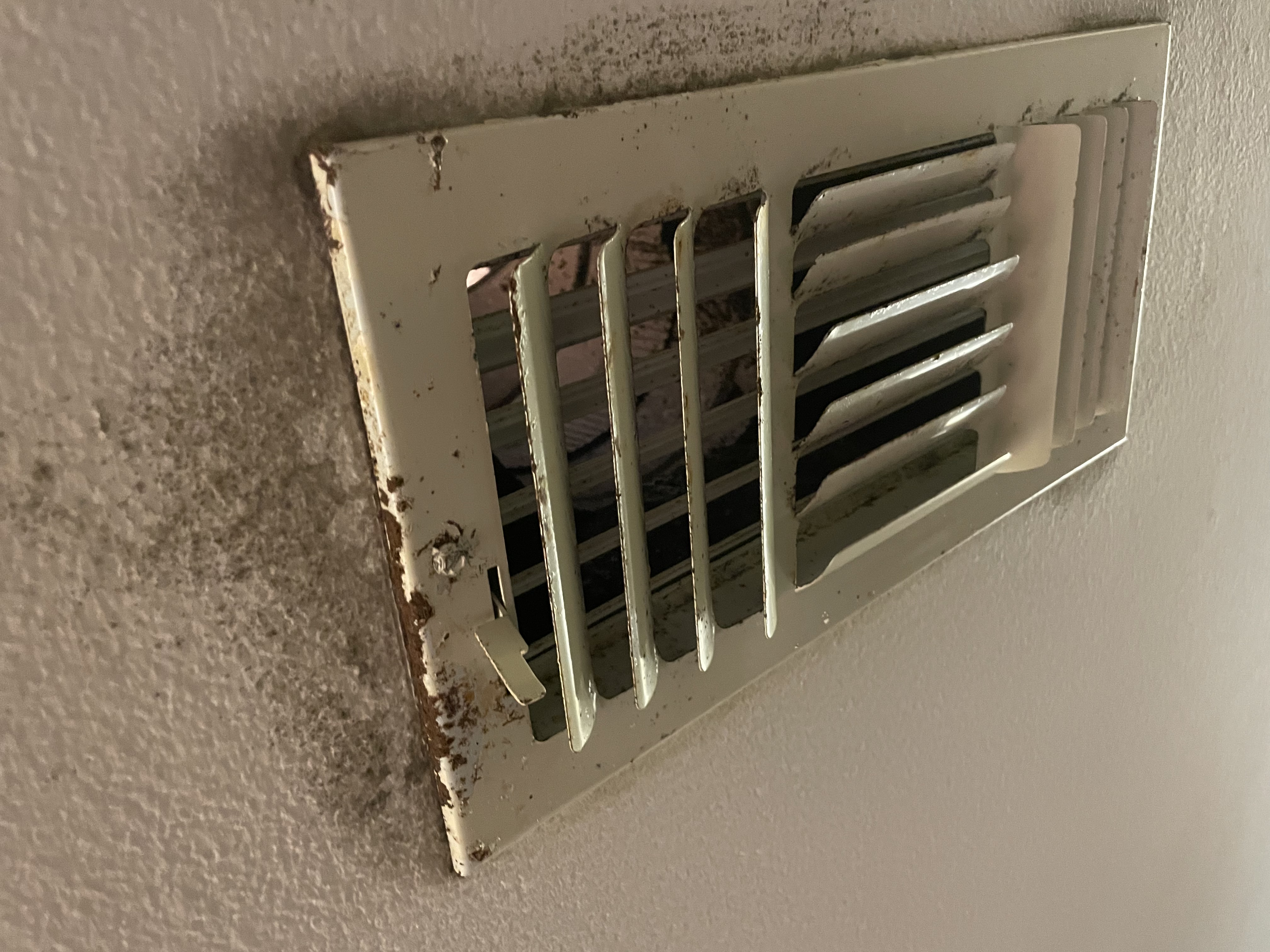 A ceiling supply vent ringed with dark mold and staining from duct air leakage